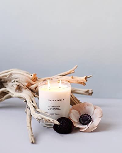 311sQAB3pmL._SL500_.jpg Brooklyn Candle Studio Santorini 2-Wick Candle - Vegan Soy, Hand-Poured, 70-Hour Burn, 13oz Luxury Scent. - Image 4