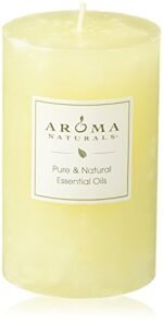 Aroma Naturals Orange, Clove and Cinnamon Essential Oil Scented Pillar Candle, Peace Pearl, 2.5 inch x 4 inch