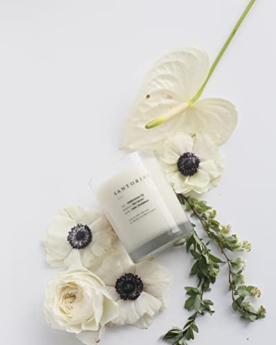 31Ypv8G2wUL._SL500_.jpg Brooklyn Candle Studio Santorini 2-Wick Candle - Vegan Soy, Hand-Poured, 70-Hour Burn, 13oz Luxury Scent. - Image 5