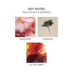 NEST New York Himalayan Salt & Rosewater Scented Candle - 8.1 oz, 60-Hour Burn, Reusable Glass - Image 4