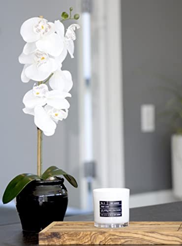 31e3AsuthyL._SL500_.jpg Lulu Candles Island Coconut | Luxury Soy Jar Candle | Hand-Poured, Long-Lasting Scent (9 Oz.) - Image 5