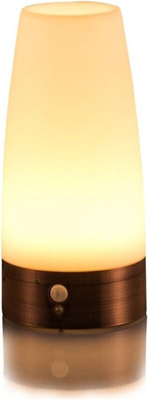 Our Review of the ZEEFO Retro LED Night Light with PIR Sensor