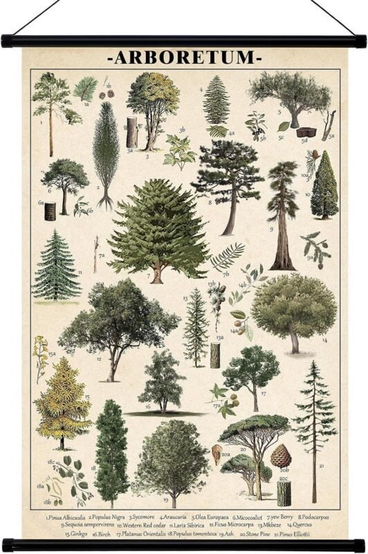 Our Review of Geyee’s Vintage Tree Chart: A Classic Wall Accent