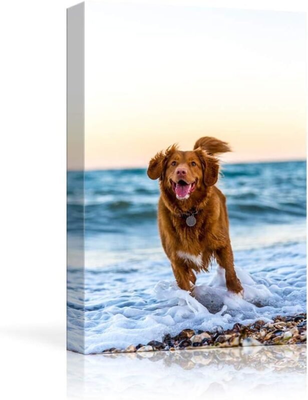 Our Review: Custom Pet Canvas Prints That Last a Lifetime