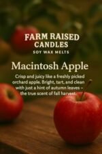 Farm Raised Candles - USA Handcrafted Fall Spice Soy Wax Melts 5-Pack (16oz) - Apple, Cinnamon, Pumpkin, Pecan Waffles - Safe for Pets & Family, Perfect Gift! - Image 8
