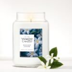 Yankee Candle Large Jar, Midnight Jasmine: 22 oz of premium plant wax with up to 150 hours of captivating fragrance. - Image 4