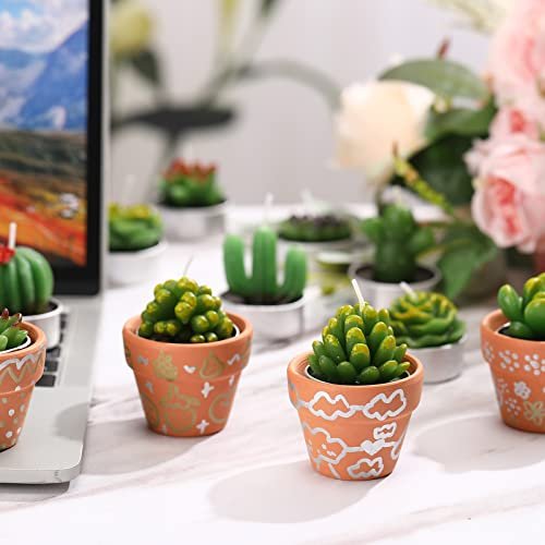 413kNysE2vL._SL500_.jpg 12 Handmade Succulent Candles: Cute Cactus Tealights for Weddings, Baby Showers, and Party Favors - Image 3