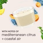 Glade 3-Wick Candle Jar Set - Coastal Sunshine Citrus, Essential Oil Infused, 6.8 oz, 3 Pack - Image 5
