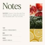 LA JOLIE MUSE Pine Scented Candle: Holiday Gift, Pomegranate Aroma, Natural Soy Wax, 40-Hour Burn Time - Image 4