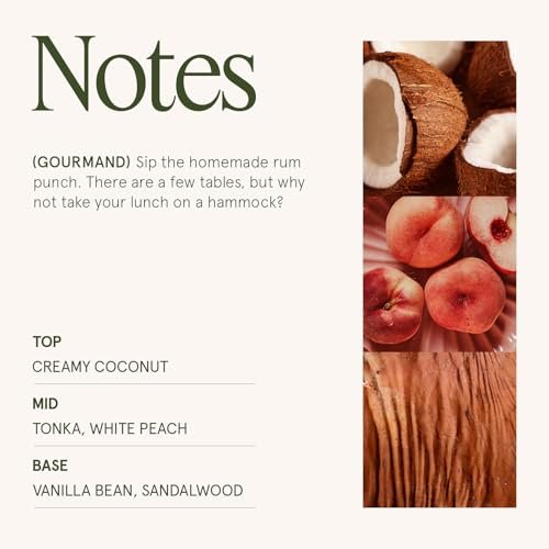 41PthKcOMrL._SL500_.jpg LA JOLIE MUSE Vanilla Coconut Candle - 19 oz Natural Soy Wax, Wood Wick, 90-Hour Burn Time, Large Glass Jar - Image 4