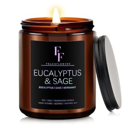 Eucalyptus & Sage Scented Candles,Candles for Home Scented Aromatherapy Candles,Soy Wax Candle Gift for Women Men Amber Jar Candle, 7oz