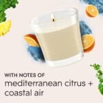 Glade Coastal Sunshine Citrus Scented Candle Jar, 4.08 Oz, 2-Pack, Infused with Essential Oils for Fresh Air. - Image 5