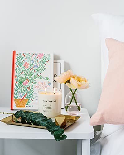 41hyekZjpDS._SL500_.jpg Brooklyn Candle Studio Santorini 2-Wick Candle - Vegan Soy, Hand-Poured, 70-Hour Burn, 13oz Luxury Scent. - Image 3