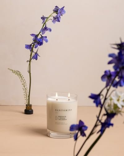 41s3IZzEJL._SL500_.jpg Brooklyn Candle Studio Santorini 2-Wick Candle - Vegan Soy, Hand-Poured, 70-Hour Burn, 13oz Luxury Scent. - Image 9