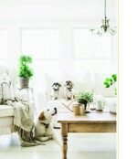 Cozy White Cottage: 100 Ways to Embrace the Comfort of Home Sweet Home - Image 2