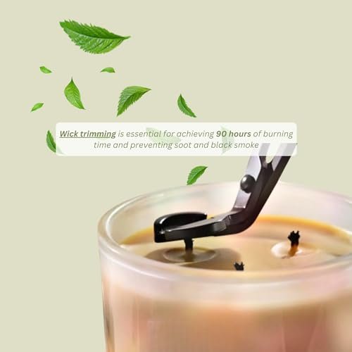 41zeC1IBlyL._SL500_.jpg Tranquility: 15 oz Vanilla & Lavender Beeswax Candle - 90+ Hours of Non-Toxic Aromatherapy Relaxation - Image 6