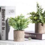 Der Rose 3-Pack Mini Fake Eucalyptus Plants - Perfect Artificial Decor for Home, Office, or Bathroom - Image 7