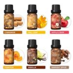 HIQILI Spice Fragrance Oil Set - 6x10ml for Candle Making, Soap, and Diffusers. Fall scents: Cinnamon, Pumpkin, Vanilla, Apple Cider, Harvest Spice. Perfect for home and holiday! - Image 2