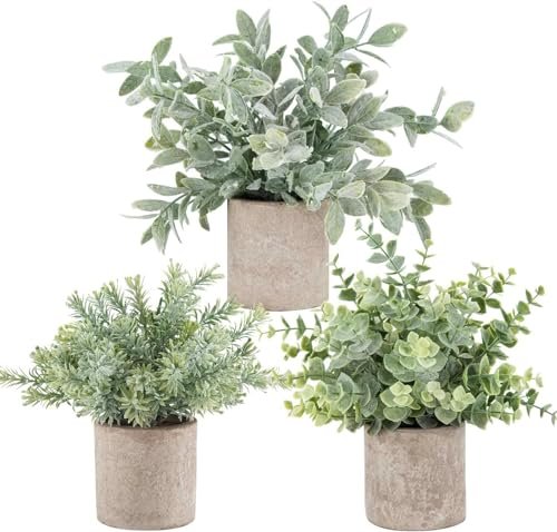 Der Rose 3-Pack Mini Fake Eucalyptus Plants - Perfect Artificial Der Rose 3 Pack Mini Potted Fake Plants Artificial Plastic Eucalyptus Plants Topiaries for Home Office Desk Farmhouse Room Bathroom Decor