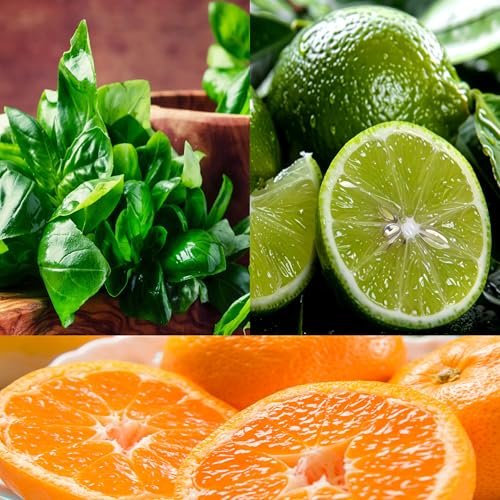51KRlNRYyYL._SL500_.jpg Basil, Lime & Mandarin Soy Candle - 100% Hand-Poured, Highly Scented, All-Natural Wax. - Image 2