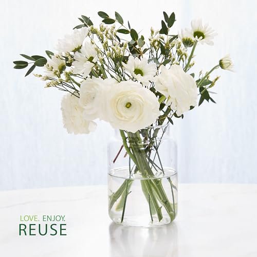 51MToIzksSL._SL500_.jpg Yankee Candle Large Jar, Midnight Jasmine: 22 oz of premium plant wax with up to 150 hours of captivating fragrance. - Image 8