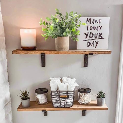 51NpyEAISuL._SL500_.jpg Der Rose 3-Pack Mini Fake Eucalyptus Plants - Perfect Artificial Decor for Home, Office, or Bathroom - Image 6