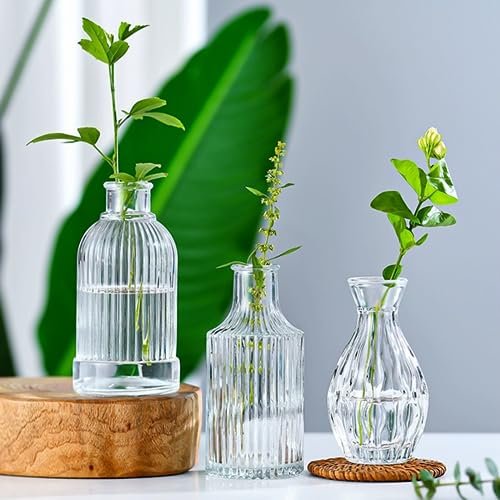 51PTbGvJ4zL._SL500_.jpg Brajttt Set of 32 Vintage Glass Bud Vases for Rustic Wedding Centerpieces & Home Decor. - Image 5