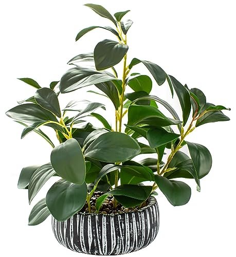 AlphaAcc Faux Succulents in Rustic Black Clay Planter for Home AlphaAcc Artificial Plants Decor Greenery Fake Succulents Indoor Potted Fake Plant with Rustic Black Clay Planter for Farmhouse Room Bathroom Bedroom Kitchen Office Table Desk Decor