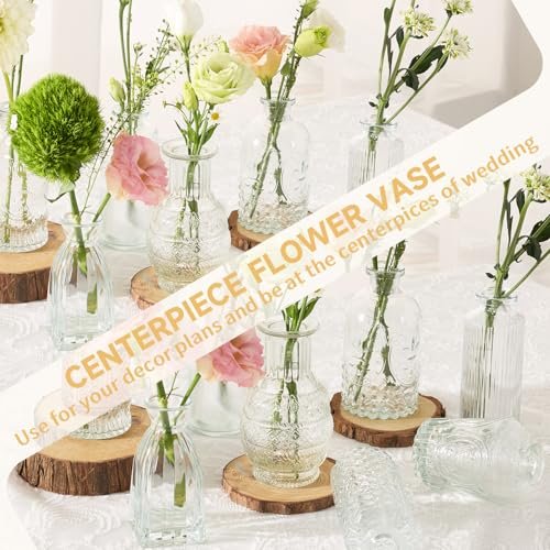 51XY8RSlu2L._SL500_.jpg Anquephd 32PCS Clear Mini Bud Vases - Ideal Wedding Centerpieces for Parties & Events - Image 6
