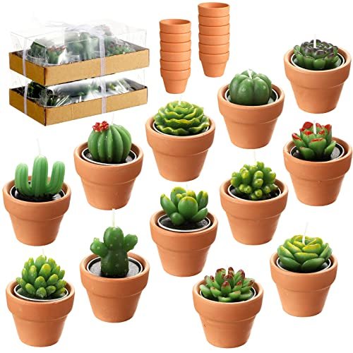 12 Handmade Succulent Candles: Cute Cactus Tealights for Weddings, Baby 12 Pieces Succulent Candles Novelty Handmade Cactus Tealight Candle Delicate Stylish Plant Candle Mini Cactus Candles for Party Favors Baby Shower Decorations Wedding Gifts Birthday (Cute Style)