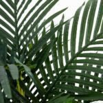 Nearly Natural 4ft Golden Cane Palm Artificial Tree - Perfect Indoor Greenery Decor! - Image 7