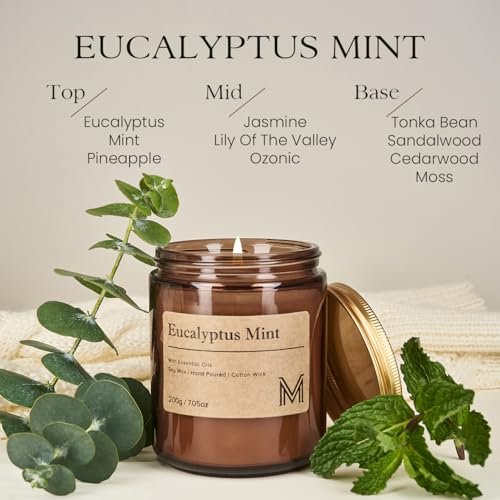 51hpvKwFxvL._SL500_.jpg M&SENSE Eucalyptus Mint Candle: Relaxing Home Fragrance, Perfect Gift for Birthdays, Mother's Day, Housewarmings, and Valentine's. 7.05oz. - Image 2