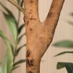 Kazeila 6FT Artificial Olive Tree: Faux Silk Indoor Plant for Home or Office Decor with Wood Branches and Fruits. - Image 6