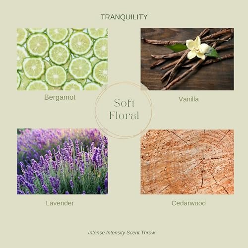 51tq7VzyJQL._SL500_.jpg Tranquility: 15 oz Vanilla & Lavender Beeswax Candle - 90+ Hours of Non-Toxic Aromatherapy Relaxation - Image 4