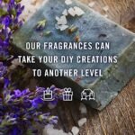 P&J Trading Fragrance Oil Set for Ladies: Pearberry, Lavender, Warm Vanilla, Plumeria, Magnolia, Wisteria – Perfect for Candle Making, Soap Making, and Diffusers. - Image 2