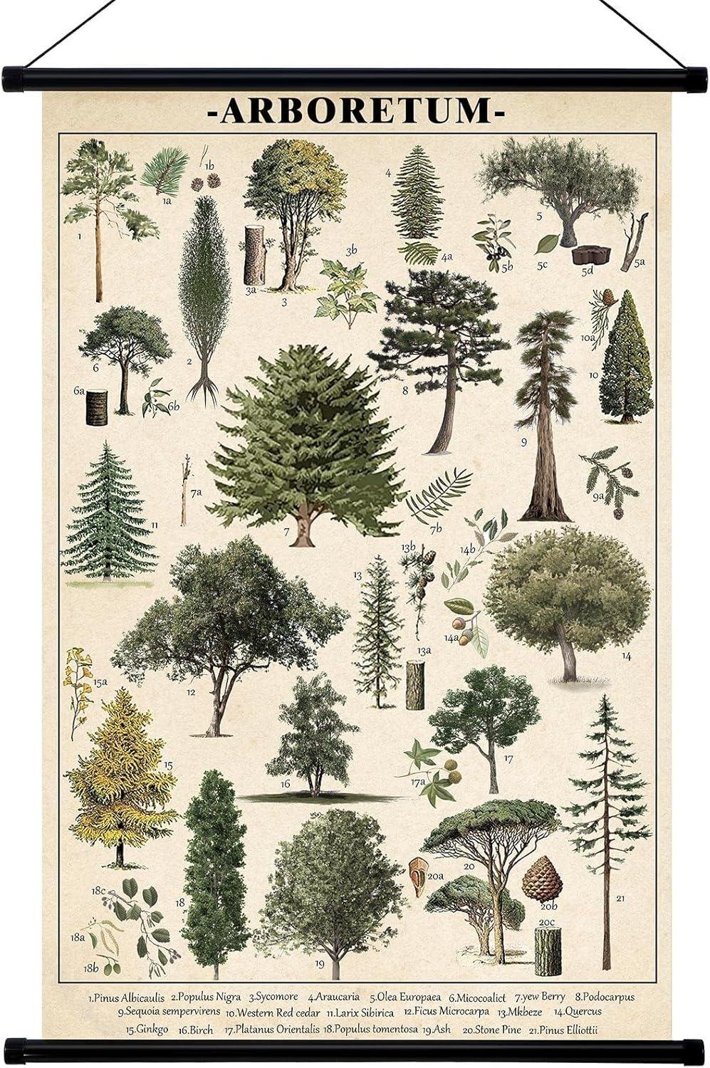 Our Review of Geyee's Vintage Tree Chart: A Classic wall Accent