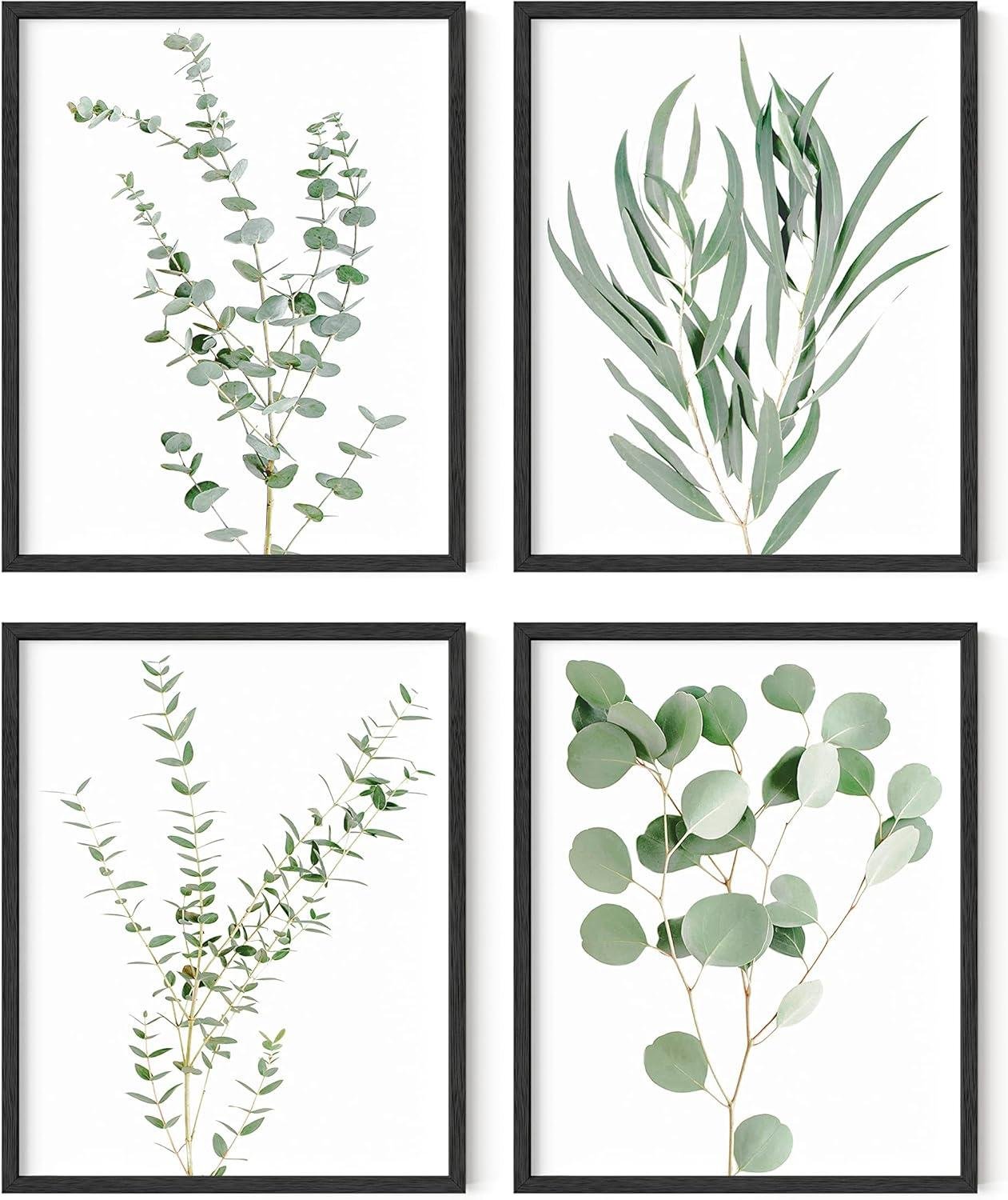 Bringing Nature indoors: Our Review of HAUS AND HUES Botanical Prints