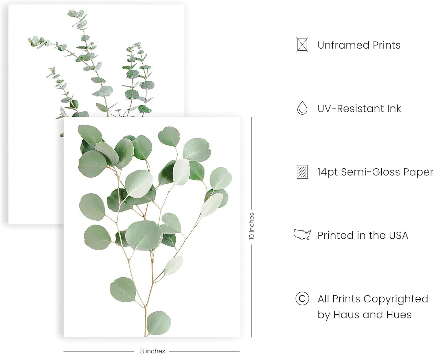 Bringing Nature Indoors: Our Review of HAUS AND HUES Botanical Prints