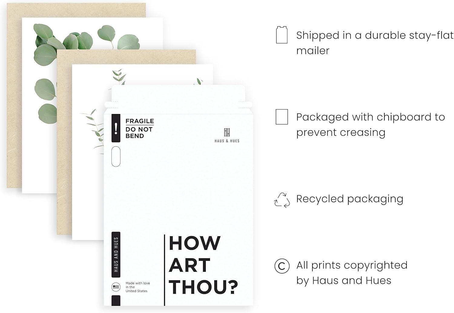 Bringing Nature Indoors: Our Review of HAUS AND HUES Botanical Prints