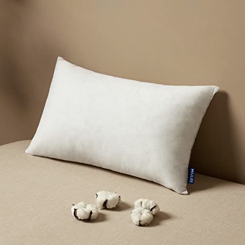 MIULEE 12x20 Inch Pillow Insert - Premium Fluffy Decorative Rectangle MIULEE Pillow Insert 12x20 Inch, Decorative Rectangle Throw Pillow Insert, Premium Fluffy Pillow Forms Stuffer for Sofa Couch Living Room