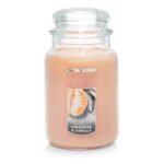 Yankee Candle Tangerine & Vanilla Scented Classic 22oz Large Jar Single Wick Candle Over 110 Hours of Burn Time