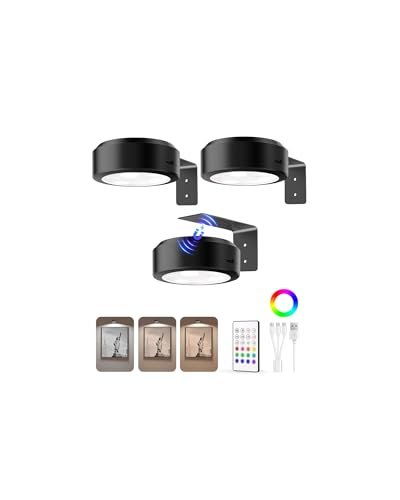 EZVALO Picture Lights for Wall, 2000mAh Rechargeable Battery Magnetic Poster Lights with 3 Color Temps & 12 RGB, Remote Dimmable Timer Painting Light, Wall Decor Light for Art Display, Frame (3 Pack)