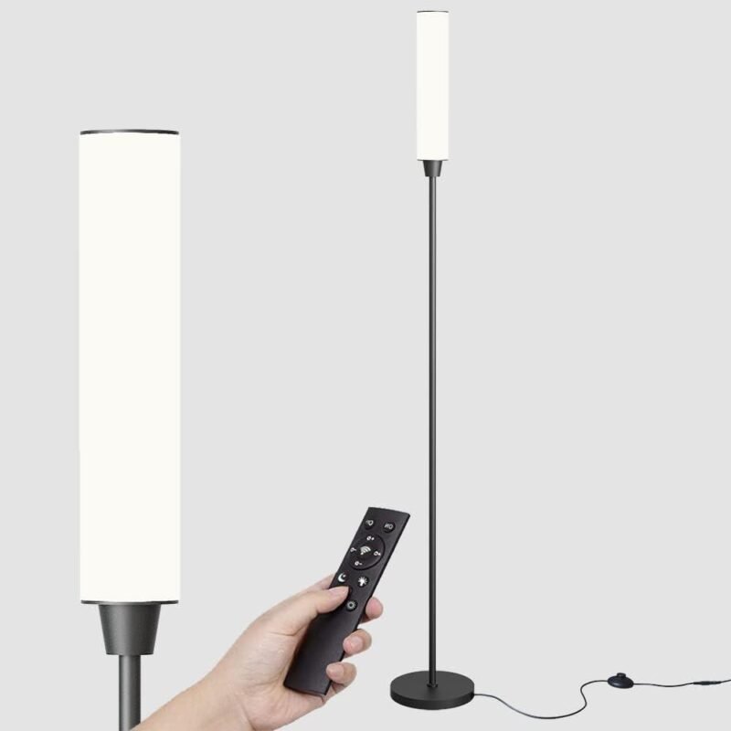 Our Review of Nukanu’s Adjustable Floor Lamp with Remote Control