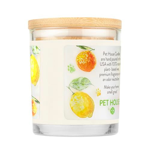 411hu27-QiL._SL500_.jpg Pet House Citrus Candle: Long-Lasting, Plant-Based, Clean-Burning Candle for Pet Odor Control. - Image 2
