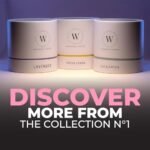 Waxily Eucalyptus Soy Candle | Non-Toxic Aromatherapy | Long-Lasting, Eco-Friendly, Vegan | Luxury Gift for Home Spa & Stress Relief | 12oz - Image 9
