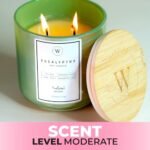 Waxily Eucalyptus Soy Candle | Non-Toxic Aromatherapy | Long-Lasting, Eco-Friendly, Vegan | Luxury Gift for Home Spa & Stress Relief | 12oz - Image 6
