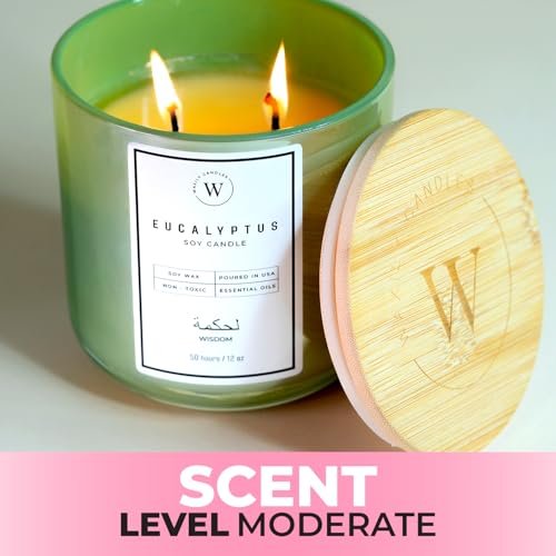 41JBSMKggIL._SL500_.jpg Waxily Eucalyptus Soy Candle | Non-Toxic Aromatherapy | Long-Lasting, Eco-Friendly, Vegan | Luxury Gift for Home Spa & Stress Relief | 12oz - Image 6