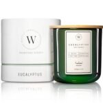 Waxily Eucalyptus Soy Candle | Non Toxic Candles | Aromatherapy, Long Lasting, Glass Essential Oil Candle | Luxury Gift, Clean Burning, Home Spa, Stress Relief, Vegan, Eco Friendly, Natural | 12oz