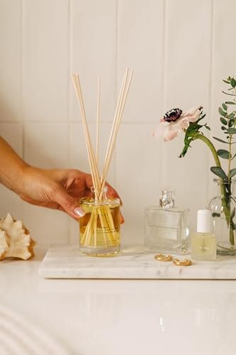 41VuPuiFQXL._SL500_.jpg Brooklyn Candle Studio Maui Reed Diffuser - Sea Salt, Driftwood & Ylang Ylang - 8 Rattan Reeds, 3.7oz - Image 8