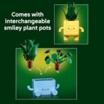 LEGO Botanicals Happy Plants - Stylish Decor for Bedrooms & Desks, Perfect Gift for Kids 9+! - Image 5